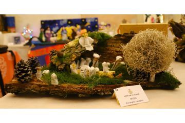 Pierangela Lasagnini