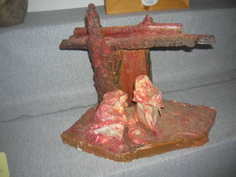 Roncati Cristina.JPG